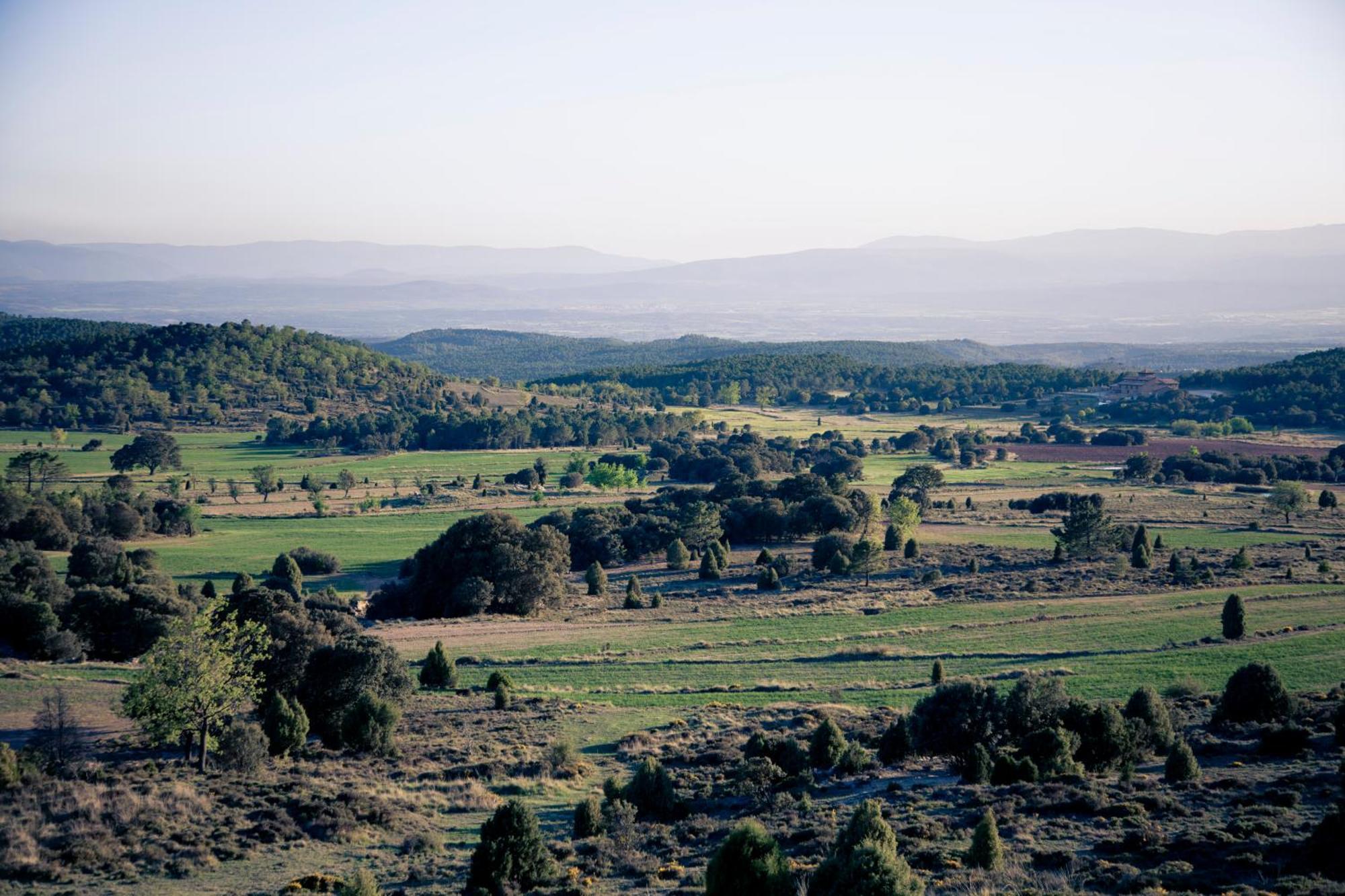 Hotel Restaurante Masia La Torre Mora de Rubielos Bagian luar foto
